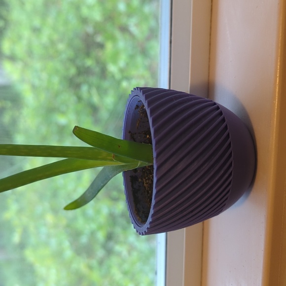 Starter plant pot 🪴 - Picture 3 of 3